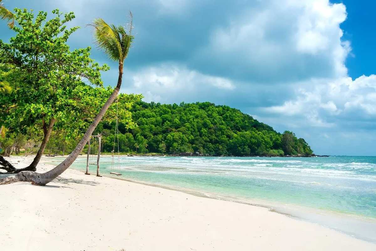 Scenic View of Sao Beach Phu Quoc Shoreline and Forest Scenic coastline of Sao Beach Phu Quoc with dense tropical forest meeting sandy beach
