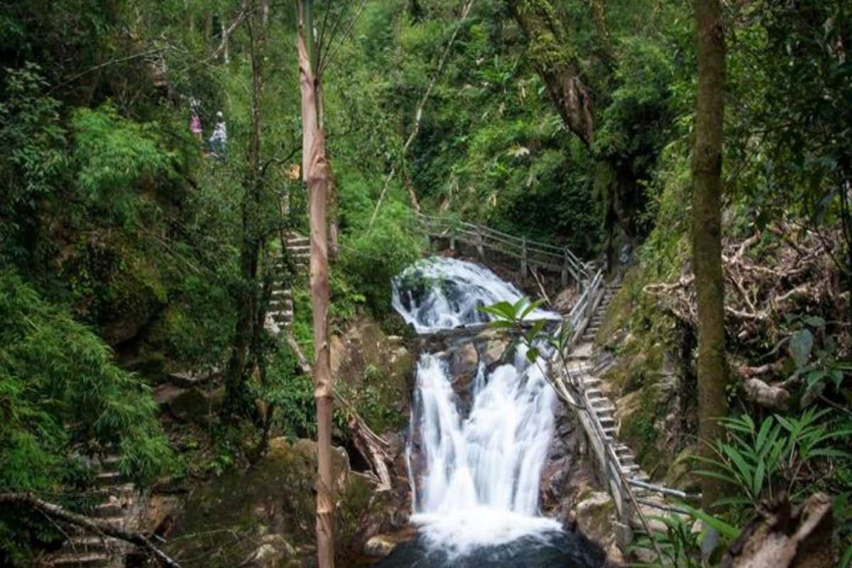 Sapa Love Waterfall jungle walk wooden steps Wooden steps wind through green forest alongside Sapa Love Waterfall, offering scenic walks and peaceful views in Sapa.
