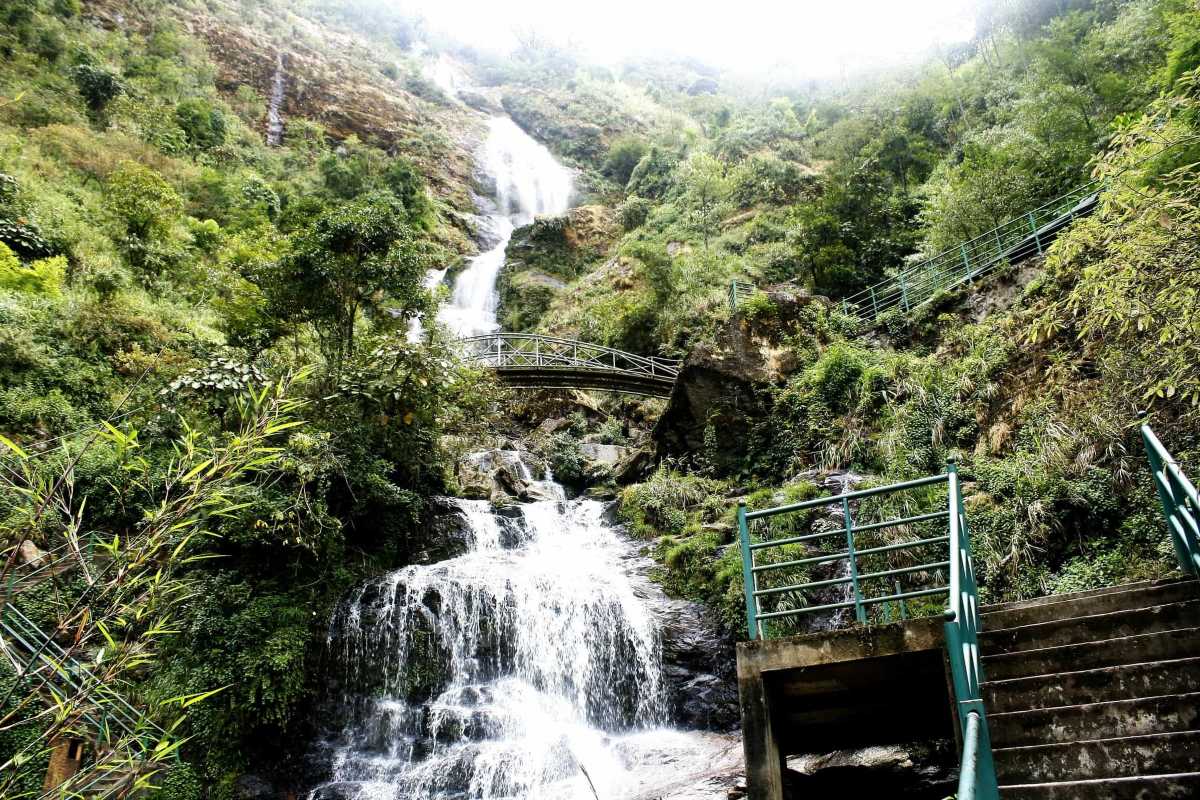 Sapa Love Waterfall Sapa stairs and green jungle Steep stairs lead visitors through lush jungle to the dramatic flow of Sapa Love Waterfall in northern Vietnam.