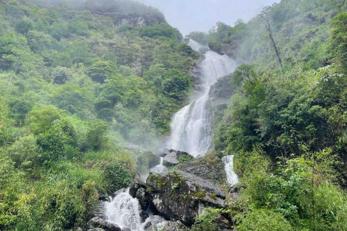 Sapa Love Waterfall Vietnam lush misty cascade view Sapa Love Waterfall flows down a lush, green mountain, surrounded by mist and dense forest in Sapa, Vietnam.