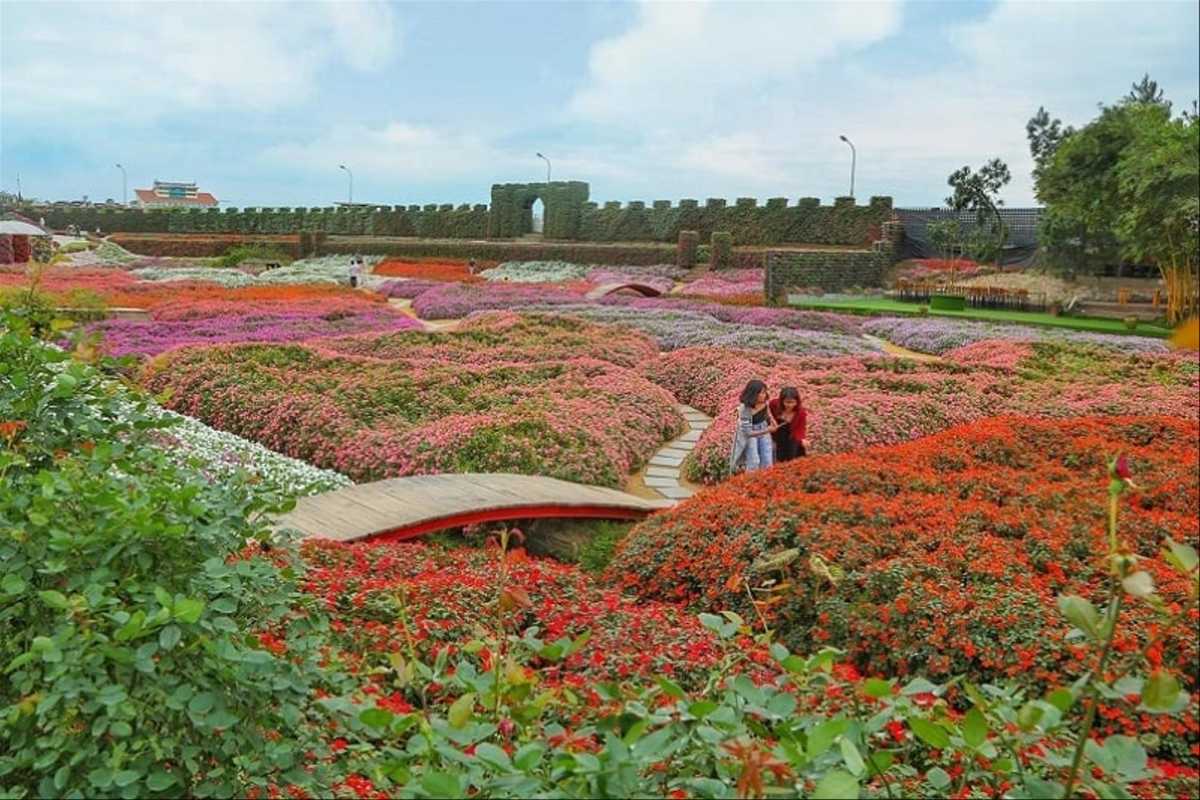 Scenic Bridge and Flower Beds at Ngoc Ha Flower Village Hanoi Red bridge and walking paths winding through colorful flower beds in Ngoc Ha Flower Village Hanoi.