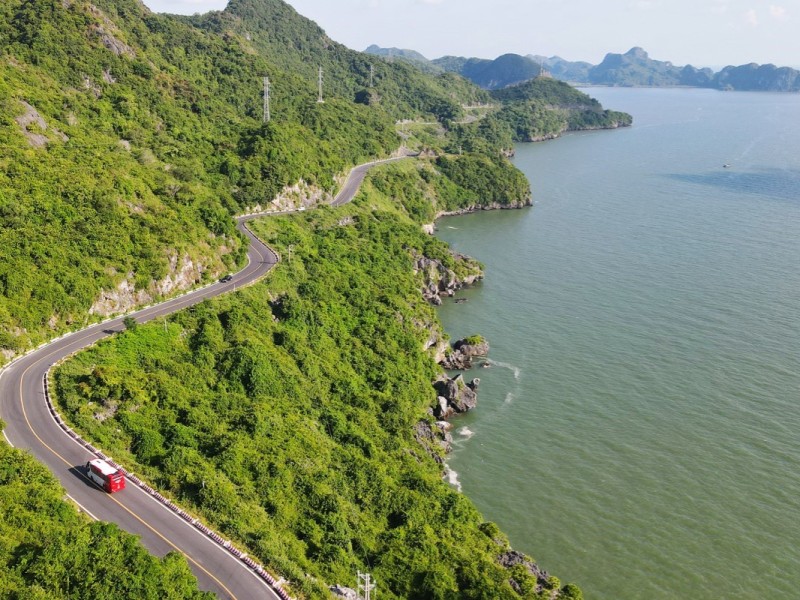 A scenic coastal road winding through lush greenery on Cat Ba Island