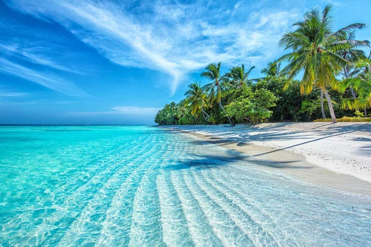 Scenic palm trees and turquoise water at Dai Lanh Beach Turquoise water and white sandy beach shaded by tall palm trees at Dai Lanh Beach, Nha Trang