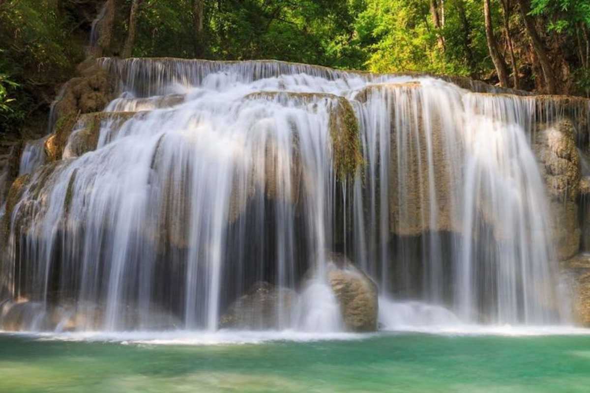 Scenic River Flow at Tranh Stream Phu Quoc Scenic river flowing through the forest at Tranh Stream in Phu Quoc