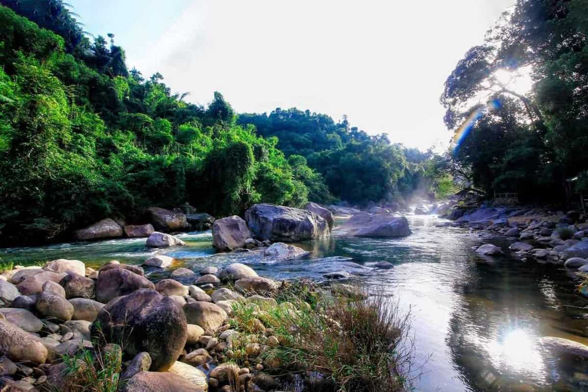 Scenic Rocky River in Hon Ba Nature Reserve Clear flowing river with large rocks and forested banks at Hon Ba Nature Reserve