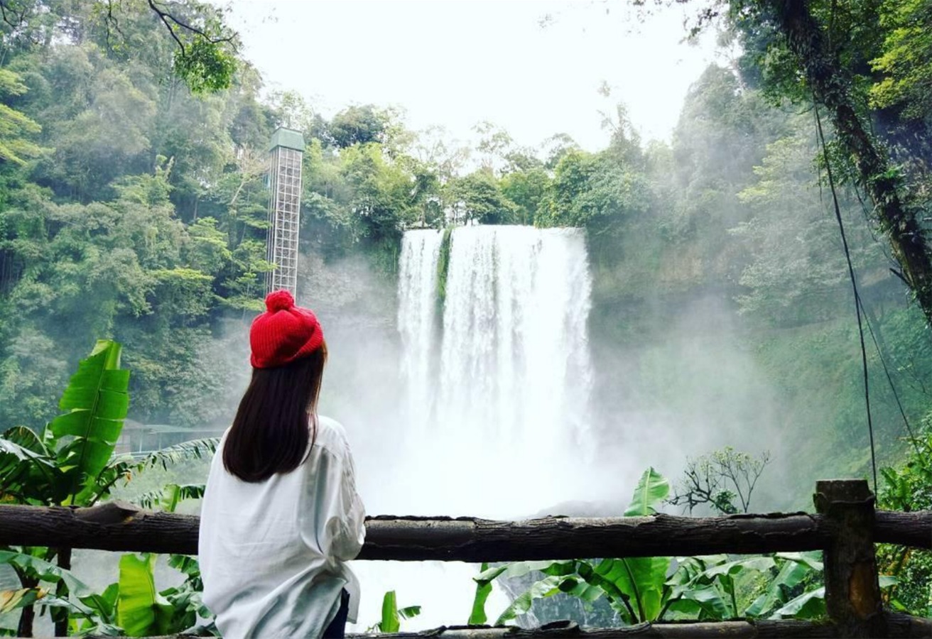 Dambri Waterfall in Da Lat with scenic forest surroundings