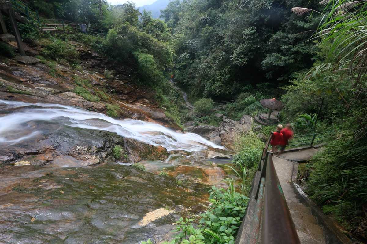 Silver Waterfall Sapa forest stairway overlook Silver Waterfall Sapa shows a stairway winding through dense forest, offering unique top-down views of the flowing falls.