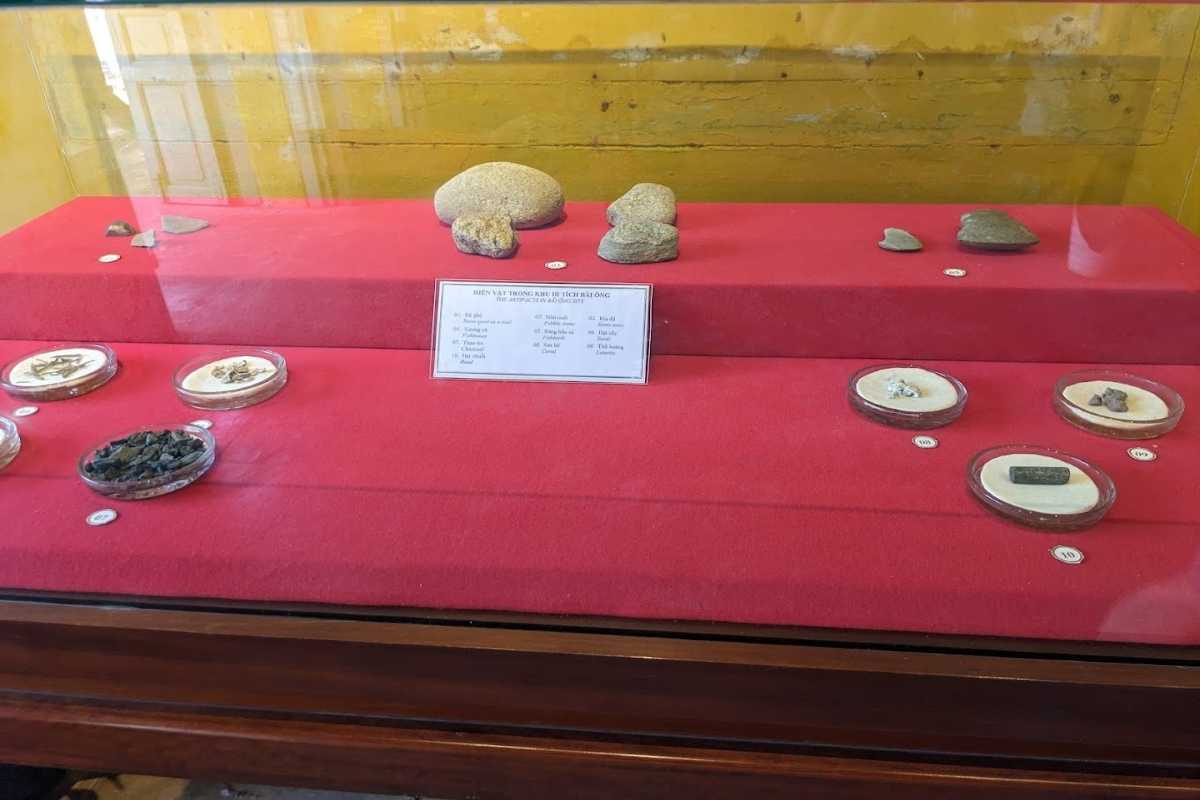 Small Artifact Collection with Labels at Sa Huynh Museum Small labeled artifacts arranged in glass cases at the Museum of Sa Huynh Culture in Hoi An