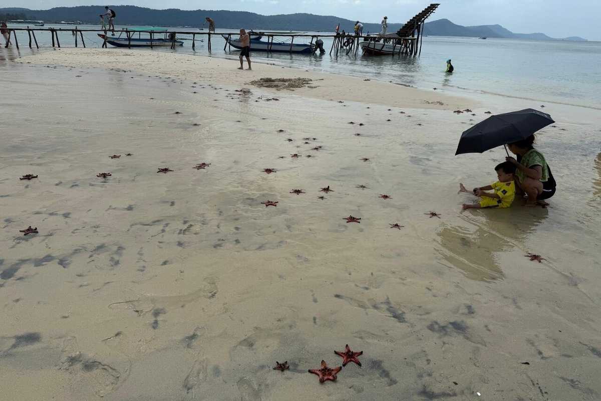 Starfish Beach Phu Quoc snorkeling visitors Visitors snorkeling in clear turquoise waters at Starfish Beach Phu Quoc