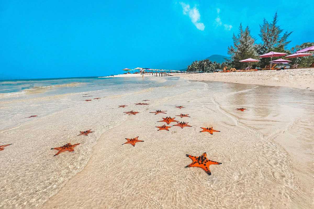 Wooden pier leading to fishing huts over crystal-clear water at Starfish Beach Phu Quoc