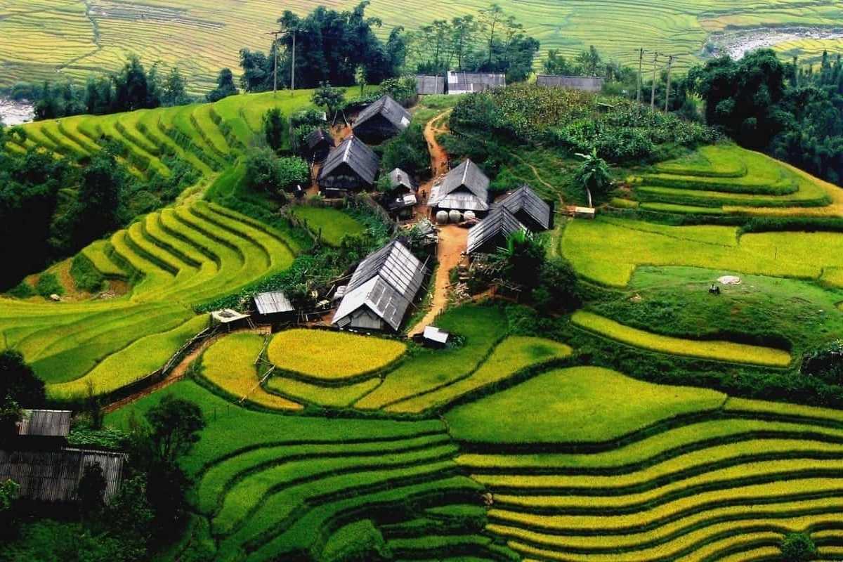 Ta Phin Village Sapa aerial view, clustered wooden houses, green terraces Ta Phin Village Sapa aerial view of clustered wooden houses surrounded by vibrant green rice terraces and winding footpaths