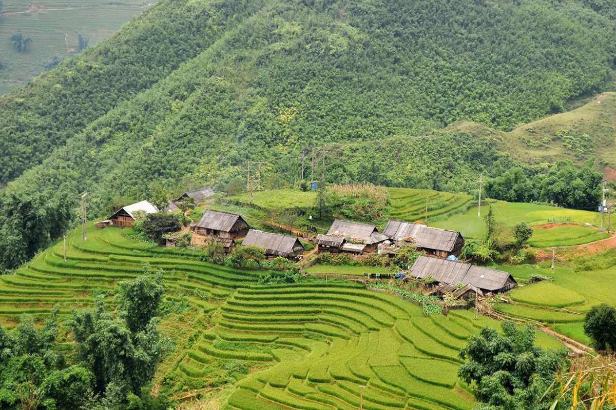Ta Phin Village Sapa green hillside, traditional homes, lush forest Ta Phin Village Sapa shows traditional stilt houses scattered on a green hillside bordered by forest and terraced fields
