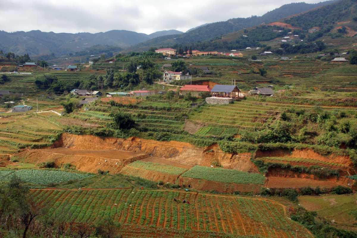 Ta Phin Village Sapa hillside vegetable gardens Hillside vegetable gardens in Ta Phin Village Sapa, terraced fields and homes shown