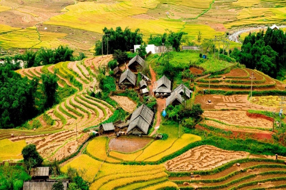 Scenic view of terraced fields in Ta Phin Village, Sapa, with traditional houses among lush greenery.