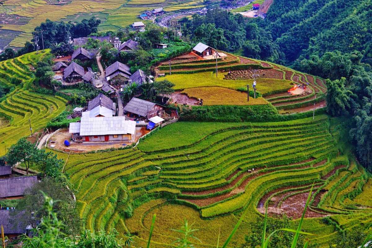 Ta Van Village Sapa aerial view of terraced fields Aerial view of Ta Van Village Sapa showing expansive terraced rice fields with scattered traditional homes and greenery