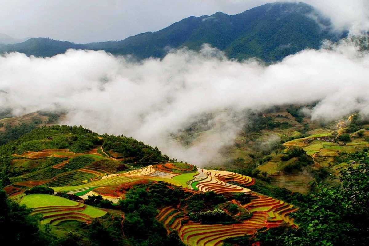 Ta Van Village Sapa Early Morning Mist and Fields Early morning mist drifting over the rice terraces and village roofs in Ta Van Village Sapa