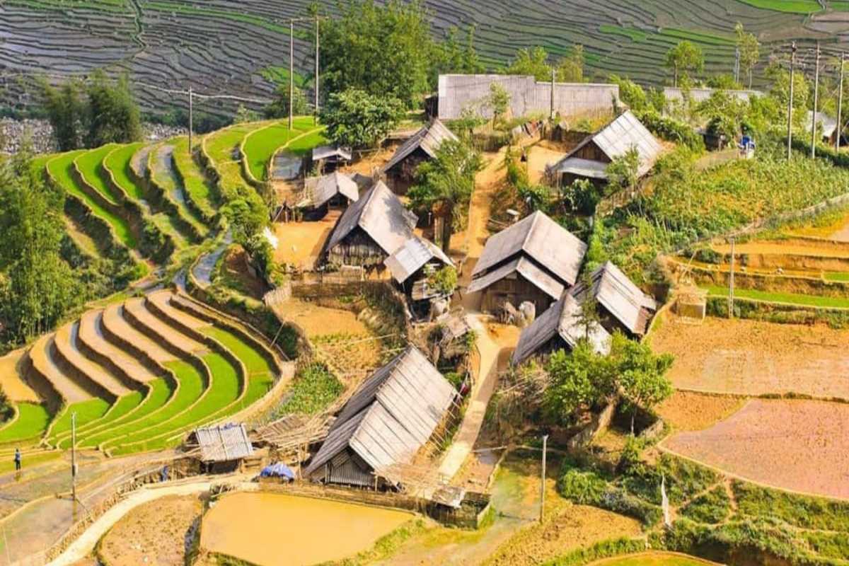 Ta Van Village Sapa Elevated Homestay Accommodation Elevated wooden homestay houses in Ta Van Village Sapa surrounded by terraced rice fields and mountainous landscape