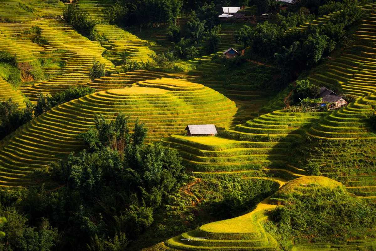 Ta Van Village Sapa panoramic terraced hills and homes Panoramic view of terraced hills and clustered traditional homes in Ta Van Village Sapa surrounded by lush greenery