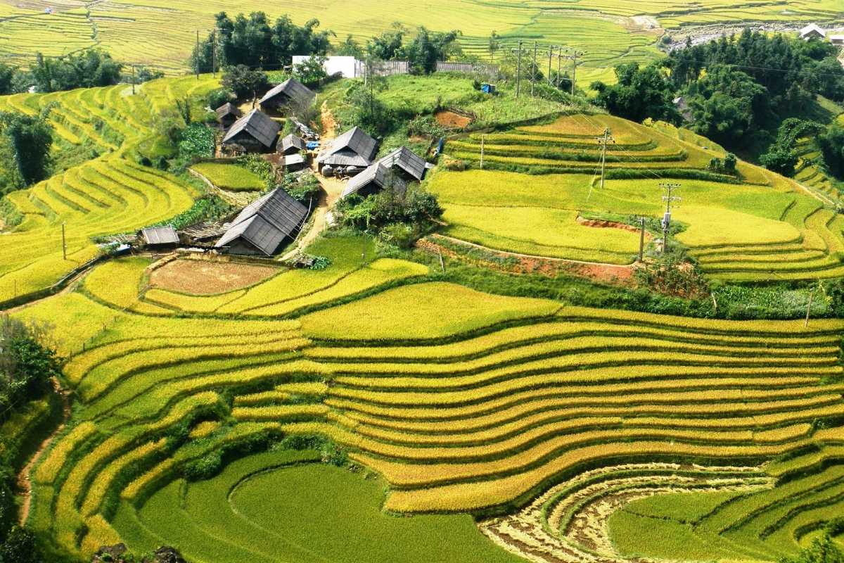 Ta Van Village Sapa riverside terrace houses Riverside terrace houses in Ta Van Village Sapa with bamboo roofs and stone pathways surrounded by rice terraces