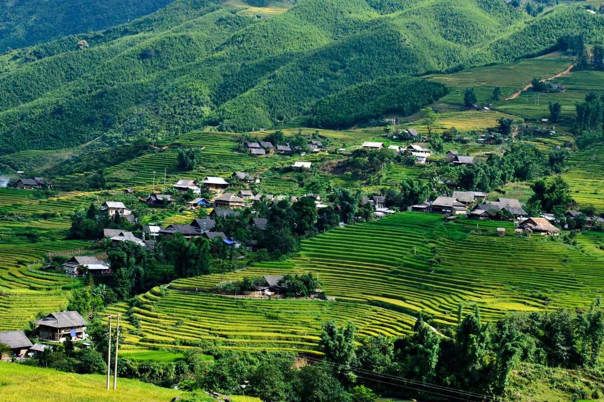 Ta Van Village Sapa sunset over terraced fields Ta Van Village Sapa sunset casting warm golden light on terraced rice fields and surrounding hills