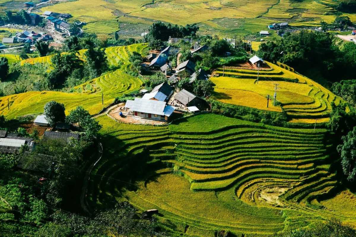 Ta Van Village Sapa Traditional Mountain Hamlet Ta Van Village Sapa nestled among terraced fields with traditional wooden houses and green hills in the background