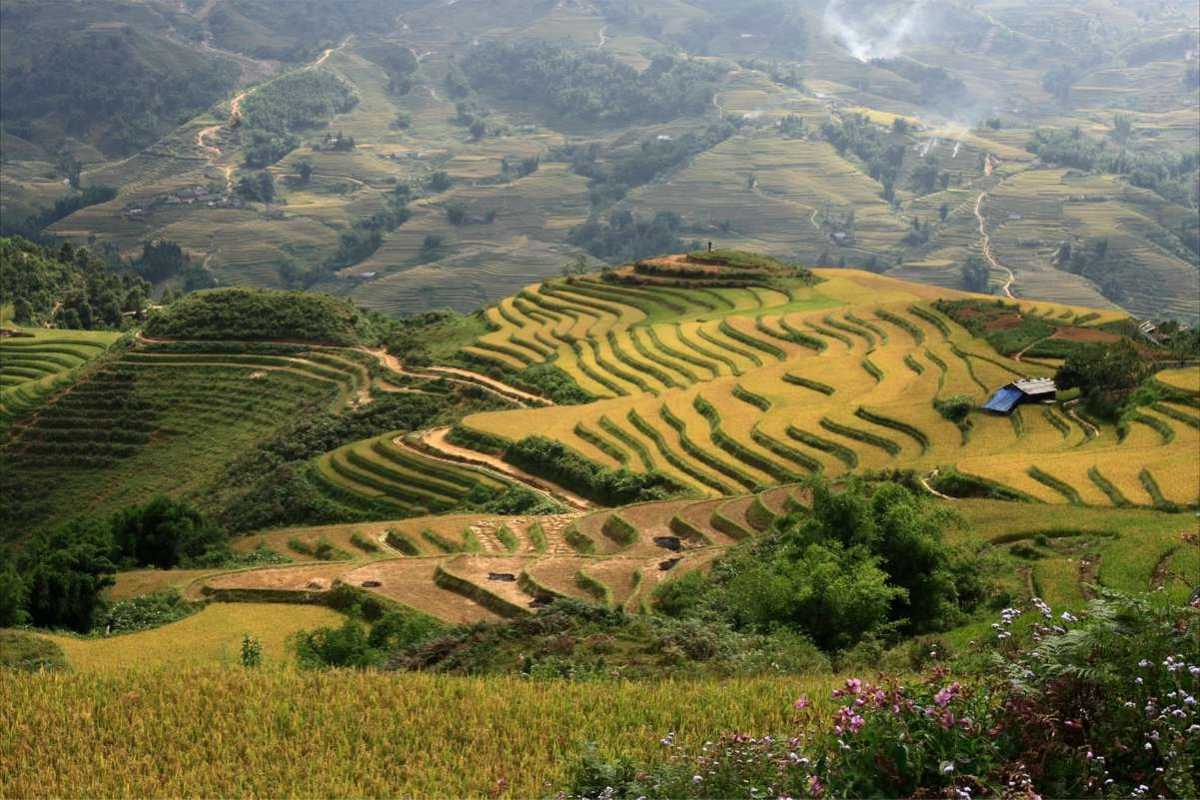 Ta Van Village Sapa traditional mountain village Ta Van Village Sapa traditional mountain village with wooden houses near flowing river and dense greenery