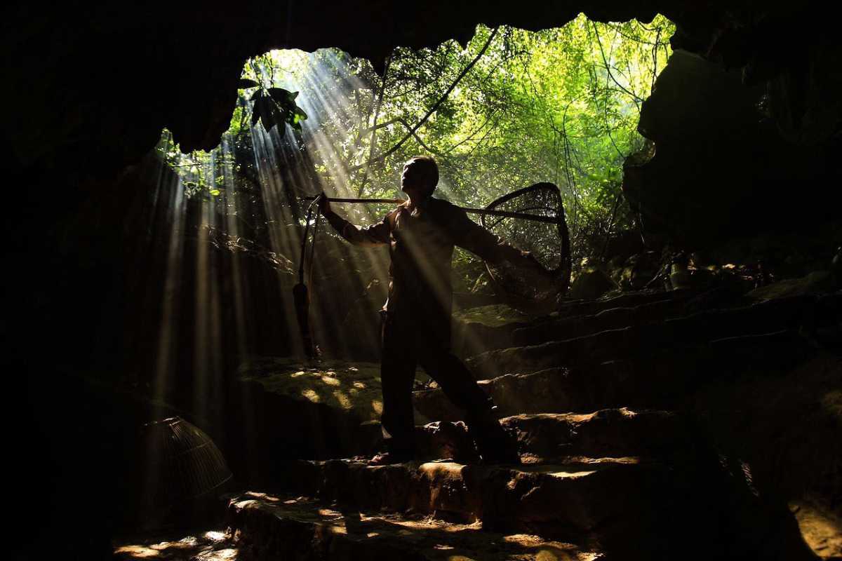 Thien Ha Cave Ninh Binh entrance with sunbeams and local explorer Entrance to Thien Ha Cave Ninh Binh with sunbeams streaming through, silhouette of a local explorer framed by lush greenery.