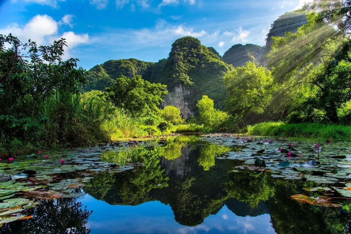 Thung Nang Valley of Sunshine reflecting off still waters with lotus flowers in Ninh Binh