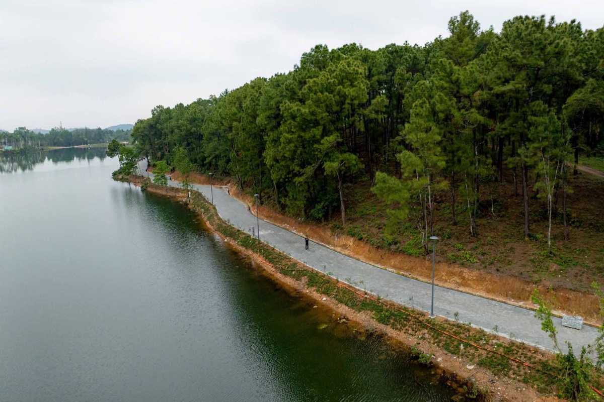Lakeside Path at Thuy Tien Lake Abandoned Water Park Hue Paved path runs along the edge of Thuy Tien Lake, bordered by tall pine trees in Hue’s abandoned water park