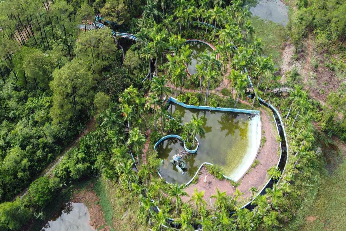 Overgrown Water Slides at Thuy Tien Lake Abandoned blue and white water slides twist through lush greenery and palm trees in Thuy Tien Lake Abandoned Water Park Hue