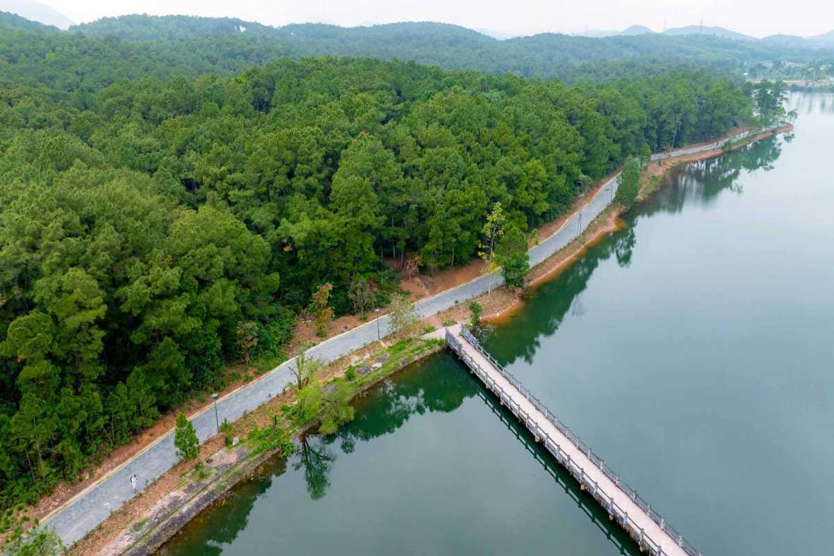 Curving Walkway in Pine Forest Thuy Tien Lake Hue Aerial view of winding pathway along the lakeshore and pine woods at Thuy Tien Lake Abandoned Water Park