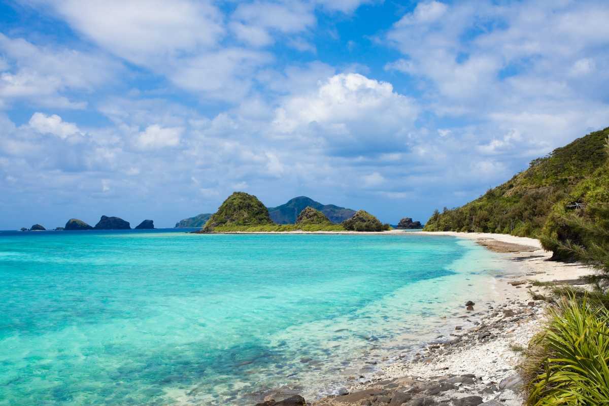 Tien Beach Nha Trang tropical beach with palm trees Tropical beach scene at Tien Beach Nha Trang with white sand, turquoise sea, and tall palm trees along the shore.