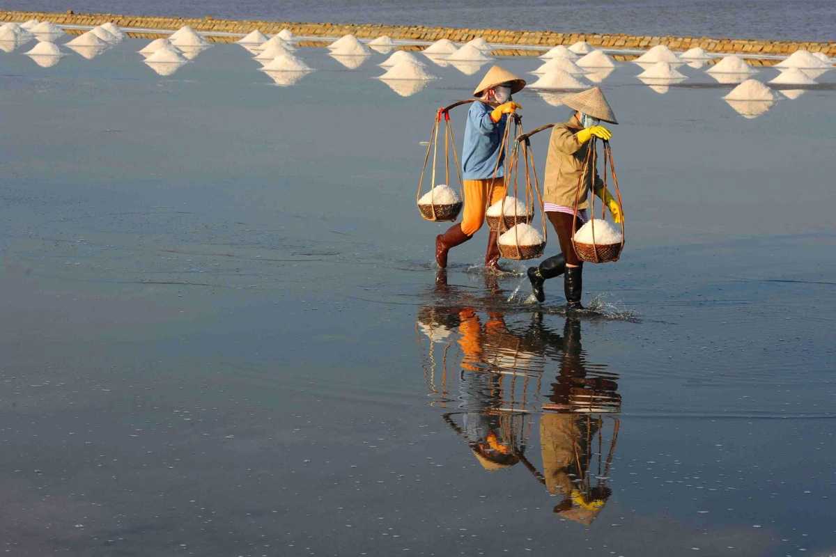 Traditional Salt Carrying at Hon Khoi Salt Fields Workers carrying baskets of harvested salt at Hon Khoi Salt Fields, Nha Trang, Vietnam.