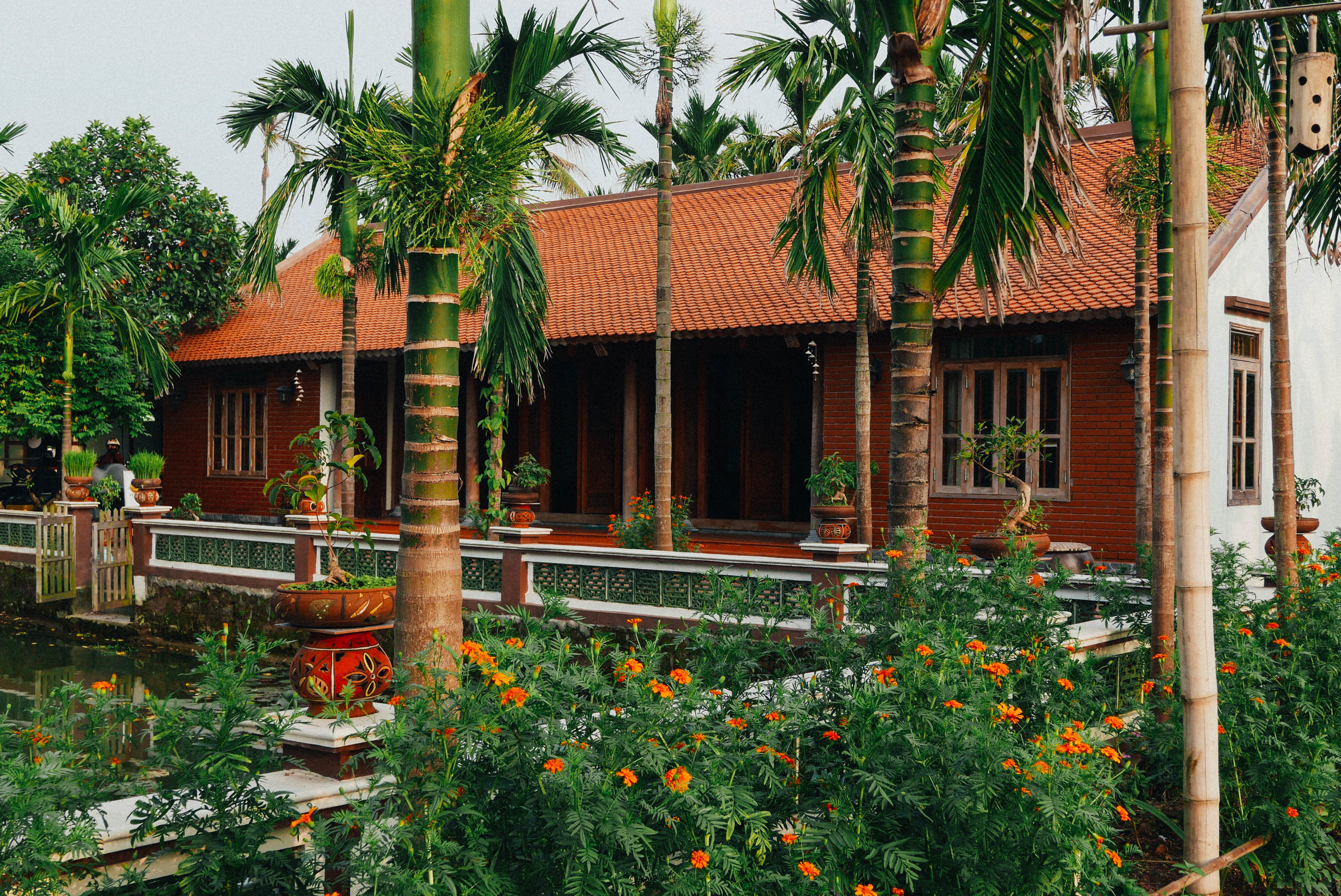 A traditional Viet house surrounded by greenery at Yen Duc Village.