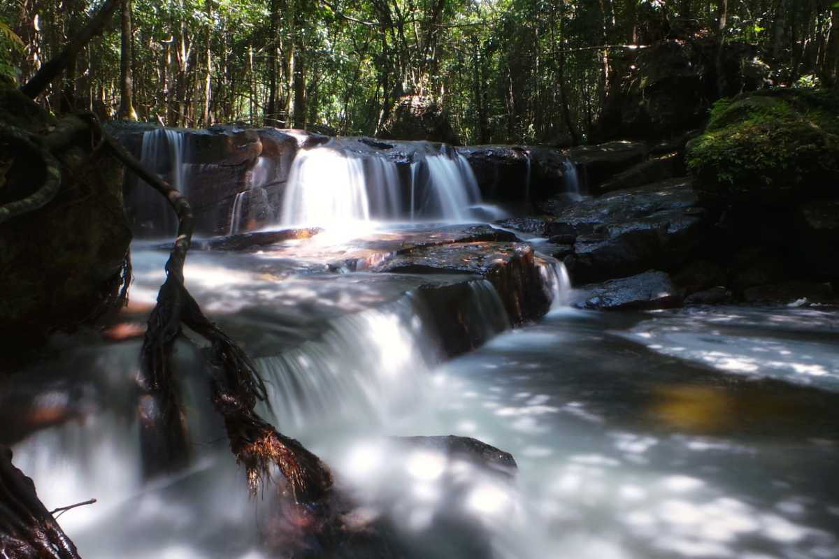 Tranquil Stream Flow at Tranh Stream Phu Quoc Gentle stream flowing over rocks at Tranh Stream in Phu Quoc