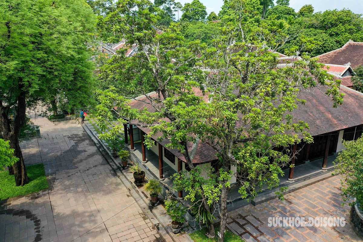 Aerial View of Tu Hieu Pagoda Courtyard Aerial shot of Tu Hieu Pagoda complex showing shaded courtyards and traditional tiled rooftops.