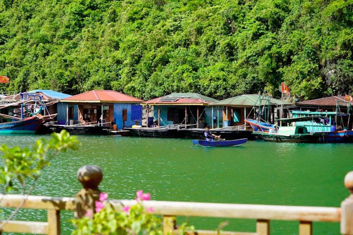 Tung Sau Pearl Farm Halong Bay Floating Houses Colorful floating houses at Tung Sau Pearl Farm Halong Bay with lush green karsts in the background
