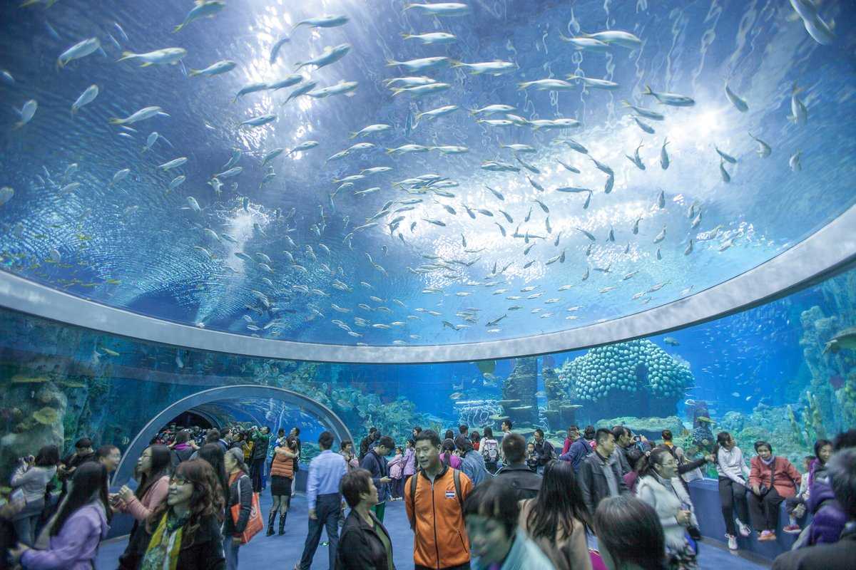 Visitors walk through a glass tunnel surrounded by marine life at the Institute of Oceanography in Nha Trang