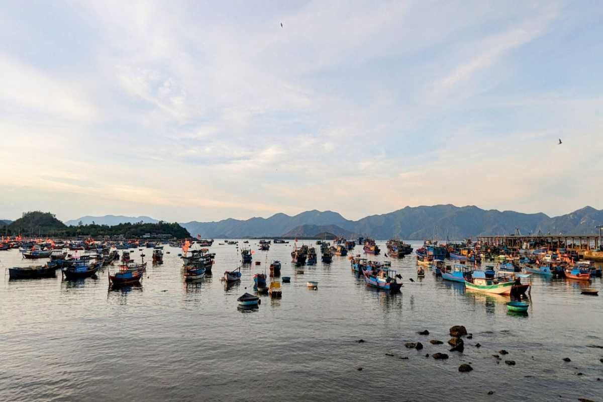 Harbor View of Vĩnh Lương at Dusk Wide-angle view of the bustling Vĩnh Lương fishing harbor filled with anchored boats and a mountainous horizon.