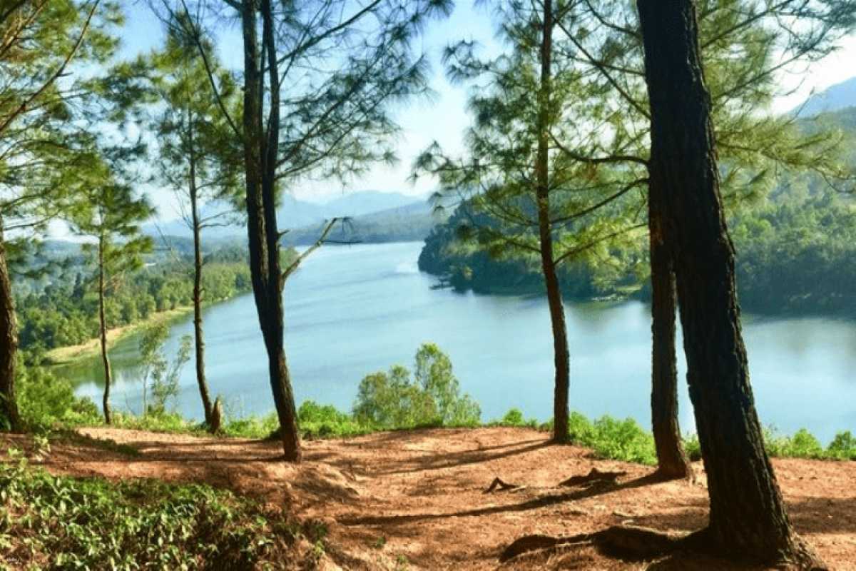 Vong Canh Hill Hue river view through pine forest Vong Canh Hill Hue offers a stunning view of the Perfume River framed by tall pine trees and tranquil natural surroundings.