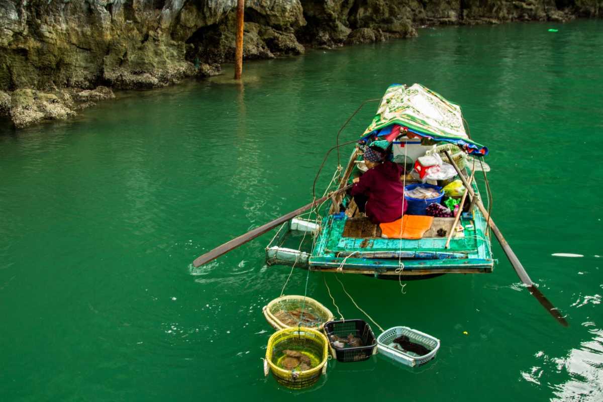 Vung Vieng Fishing Village on Halong Bay local boat Local boat at Vung Vieng Fishing Village on Halong Bay with vibrant fishing gear and limestone cliffs in background