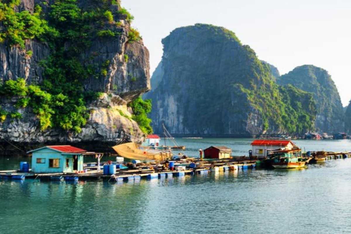 Vung Vieng Fishing Village local boats Traditional local boats moored in calm waters at Vung Vieng Fishing Village surrounded by limestone cliffs
