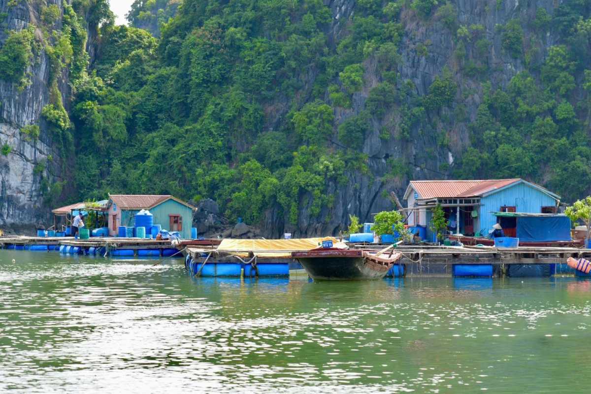 Vung Vieng Fishing Village peaceful fishing boats Traditional fishing boats moored at Vung Vieng Fishing Village in Halong Bay surrounded by green limestone cliffs