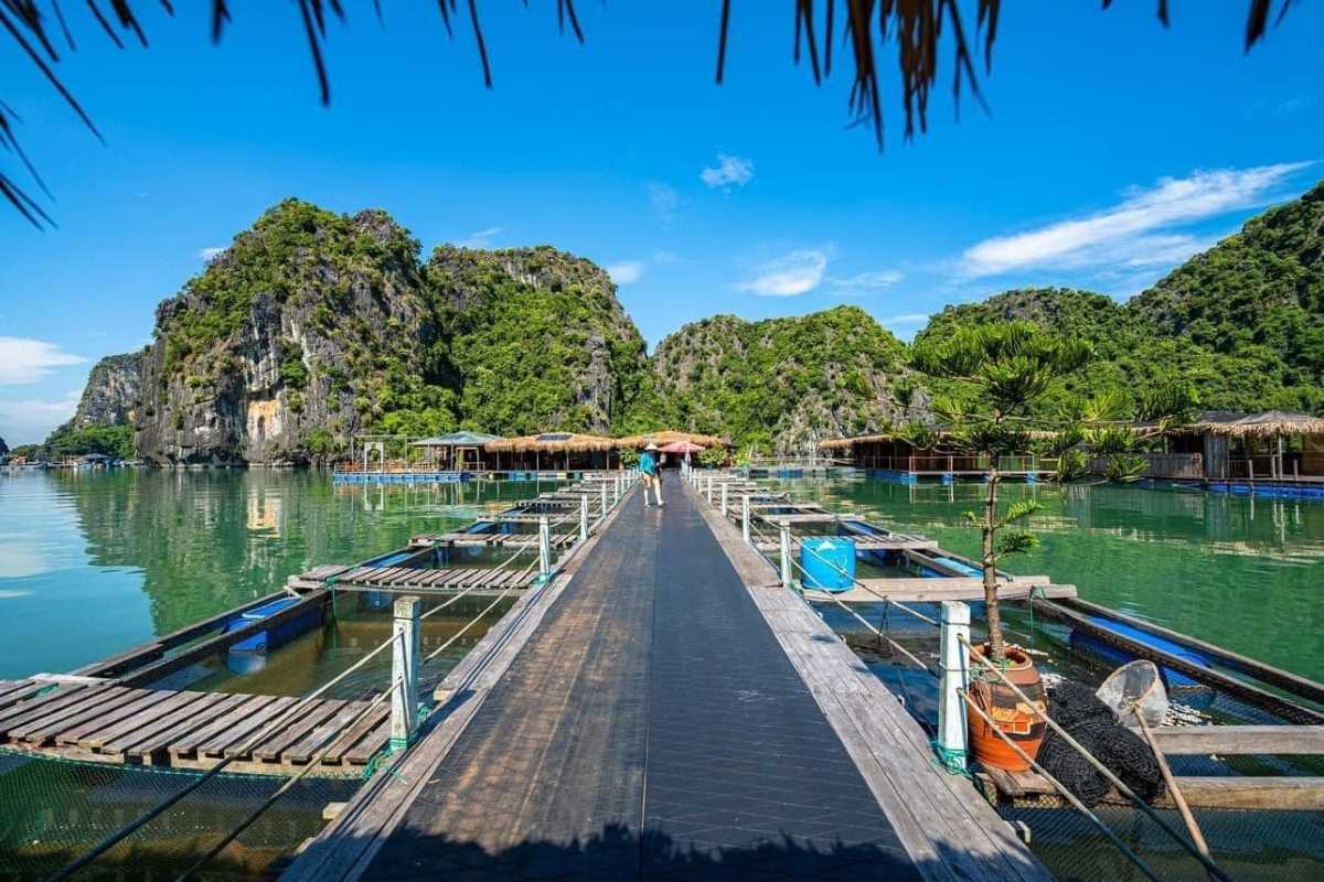 Vung Vieng Fishing Village wooden pathway on water Wooden walkway extending through floating fish farms at Vung Vieng Fishing Village on Halong Bay