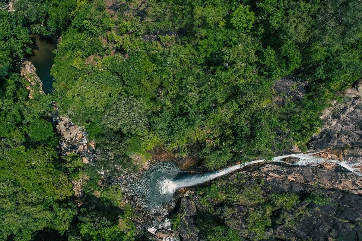 Aerial view of forest at Waterland Thach Lam Top-down view of dense forest and hidden waterfall within Waterland Thach Lam reserve area.