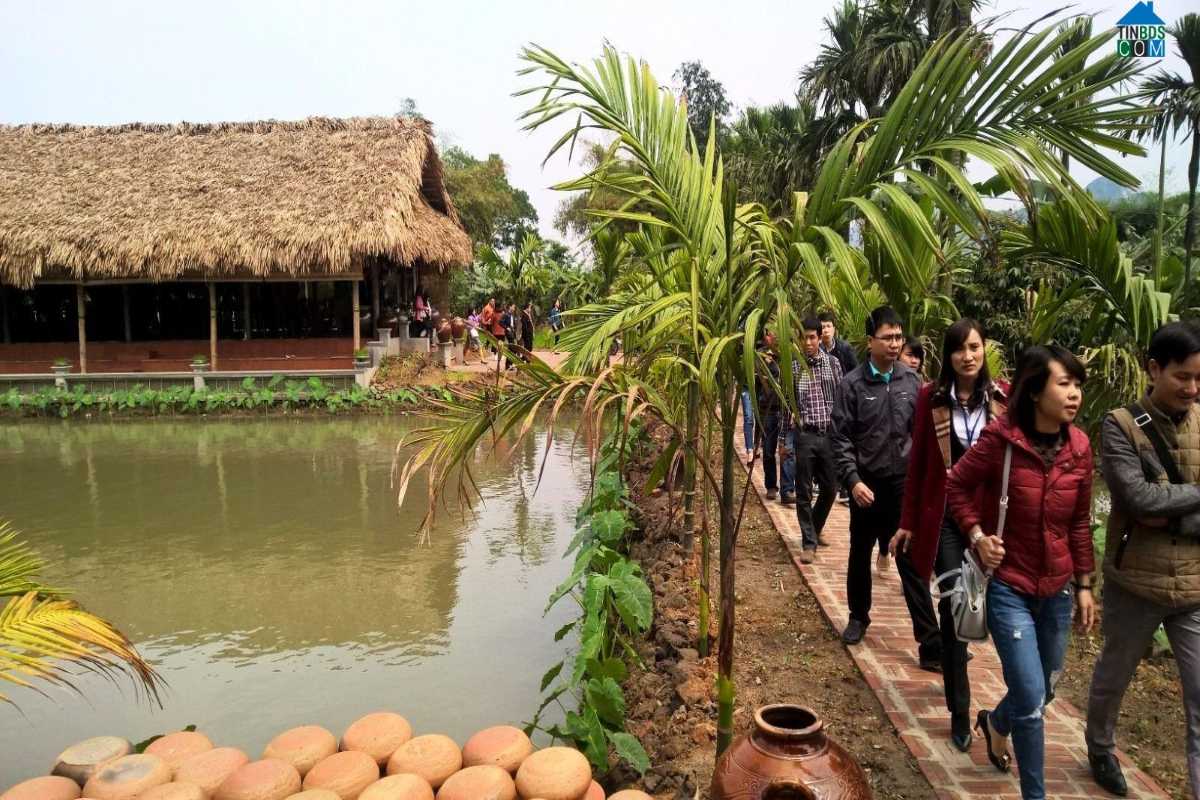 Yen Duc Village Quang Ninh visitors walking around rice fields Visitors walking along the pathway through rice fields in Yen Duc Village Quang Ninh, enjoying scenic rural views