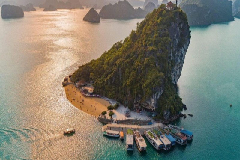 Cruise Image