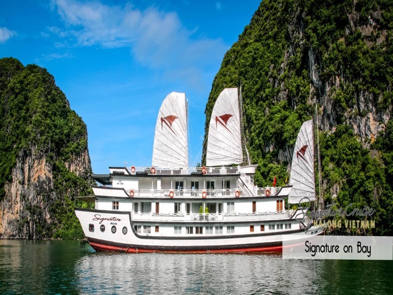 Cruise Image
