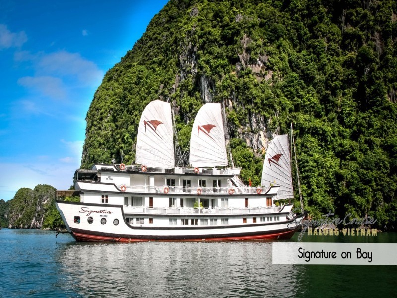 Cruise Image