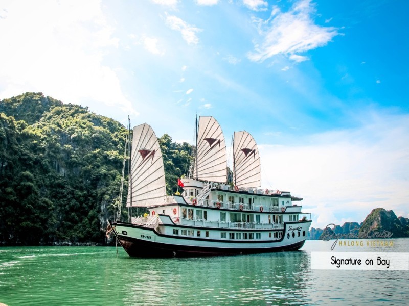 Cruise Image